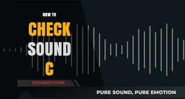 Mastering Audio Quality: A Simple Guide to Check Sound Clarity