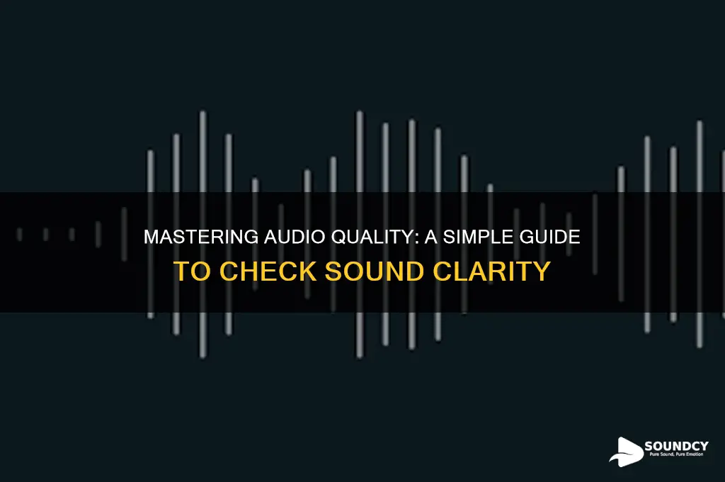 how to check sound c