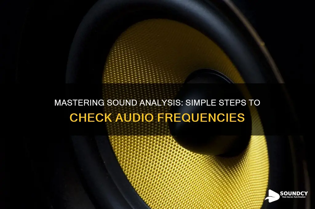 how to check sound frequency