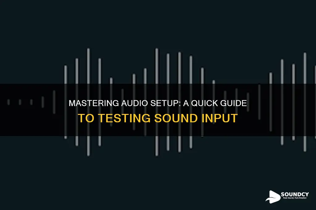 how to check sound input