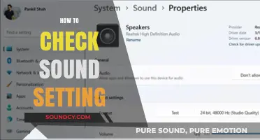 Master Your Audio: A Quick Guide to Checking Sound Settings