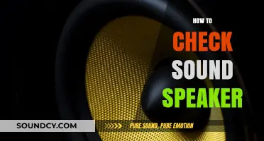 Mastering Speaker Testing: A Step-by-Step Guide to Check Sound Quality