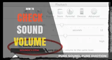 Mastering Audio Levels: A Simple Guide to Check Sound Volume