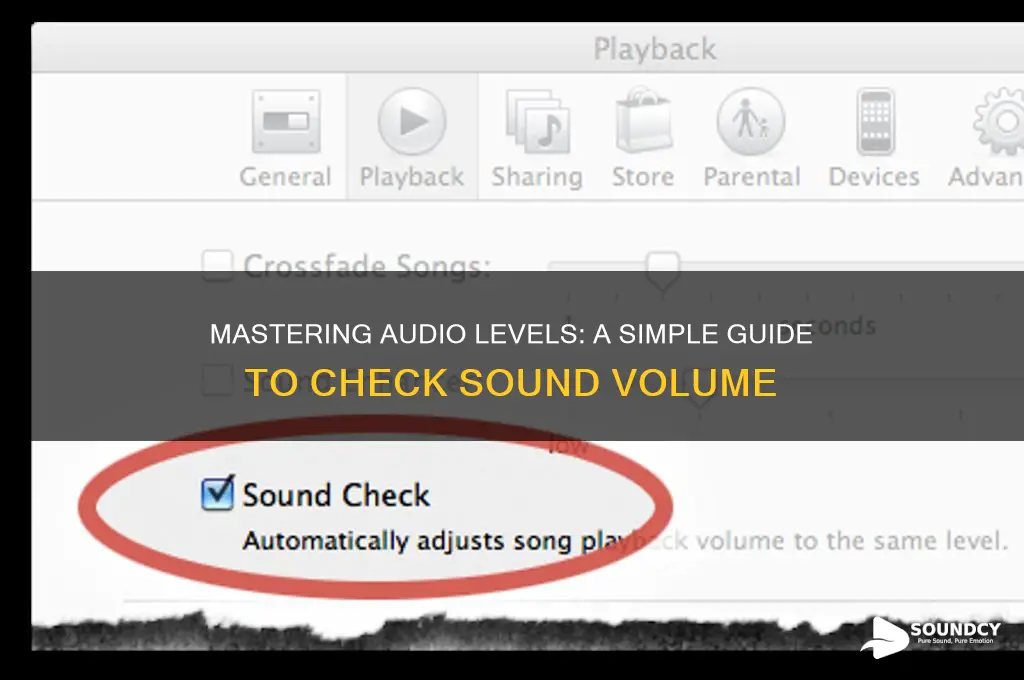 how to check sound volume
