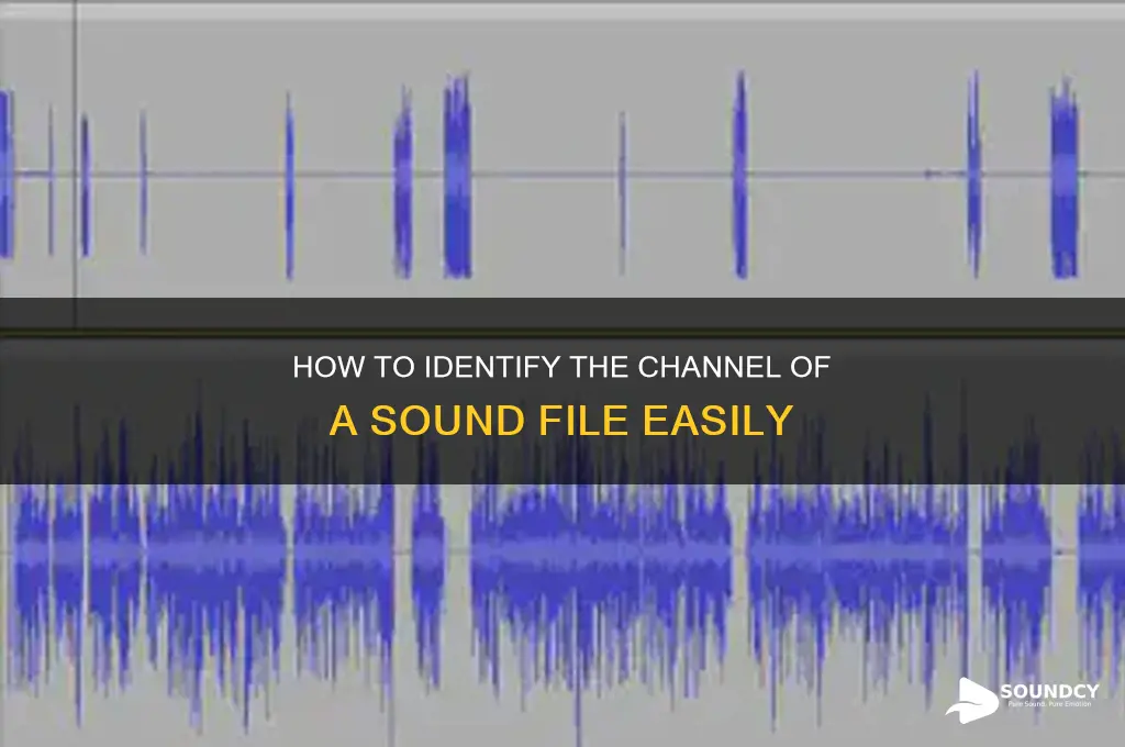 how to check the channel of a sound file