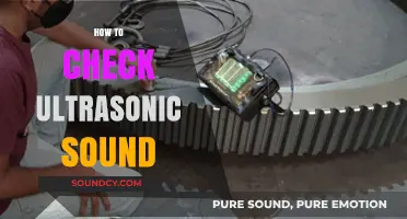 Detecting Ultrasonic Frequencies: A Step-by-Step Guide to Accurate Measurement