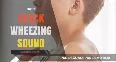 Identifying Wheezing: A Step-by-Step Guide to Detecting Abnormal Breathing Sounds