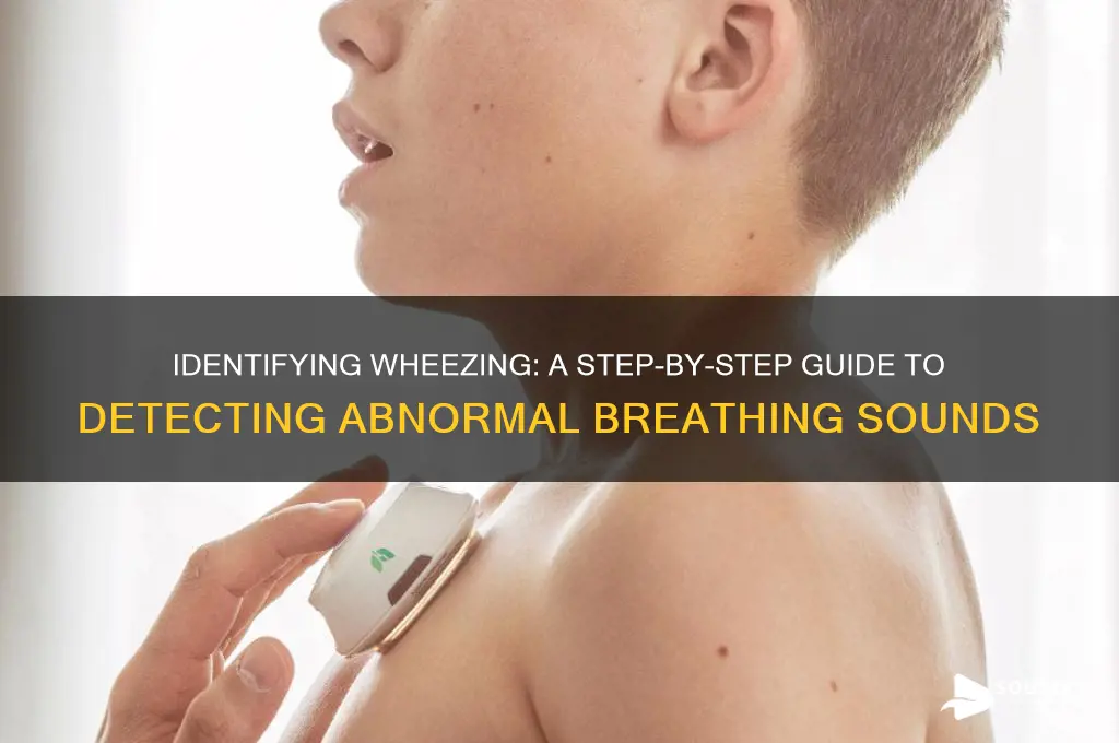 how to check wheezing sound