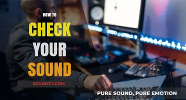Mastering Audio Quality: A Quick Guide to Checking Your Sound