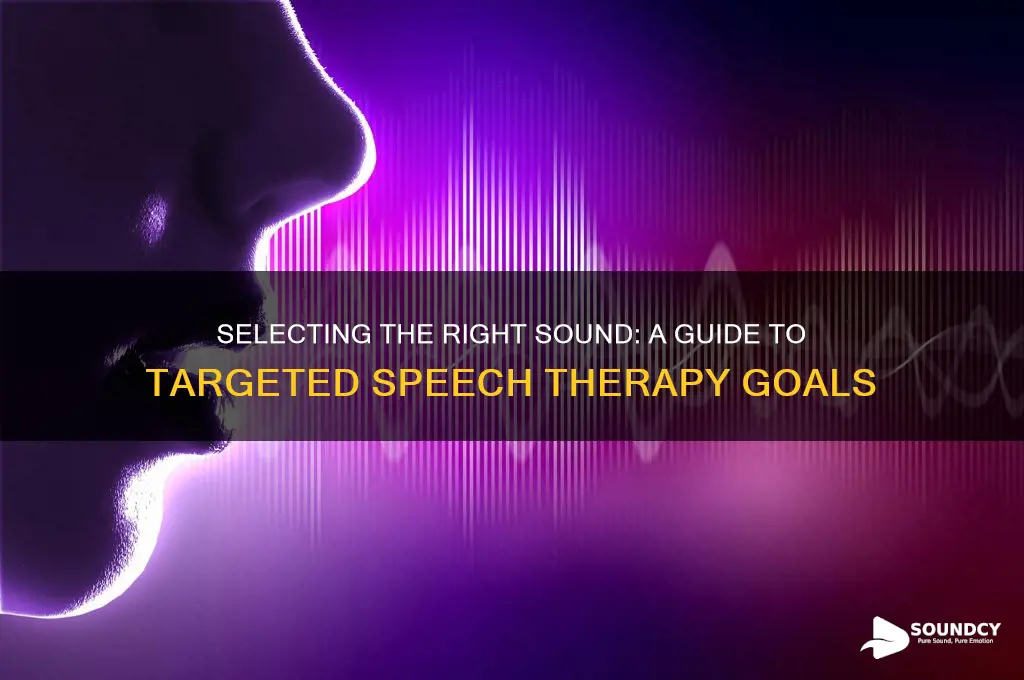 how to choose a sound to target in speech