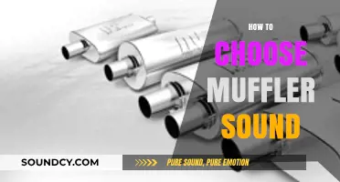 Selecting the Perfect Muffler Sound: A Comprehensive Guide for Car Enthusiasts