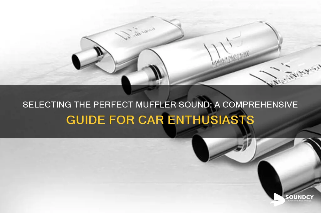 how to choose muffler sound