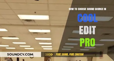 Mastering Cool Edit Pro: Selecting the Perfect Sound Source