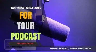 Perfect Podcast Audio: Selecting the Ideal Sounds for Your Show