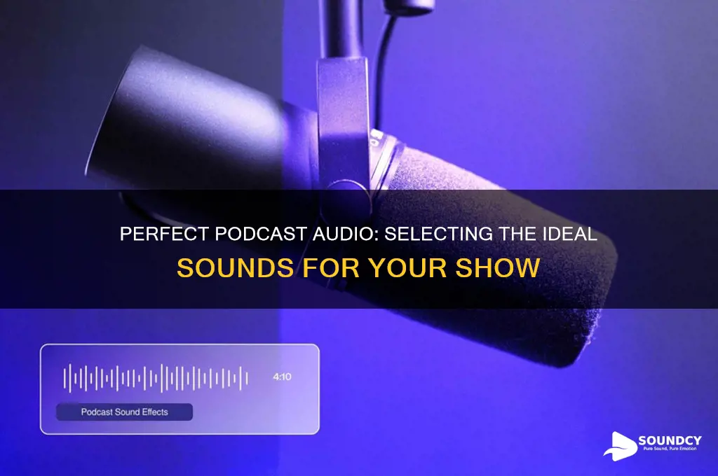 how to chose the best sounds for your podcast