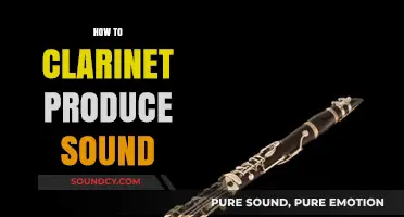 Mastering the Clarinet: Understanding Sound Production Techniques and Tips