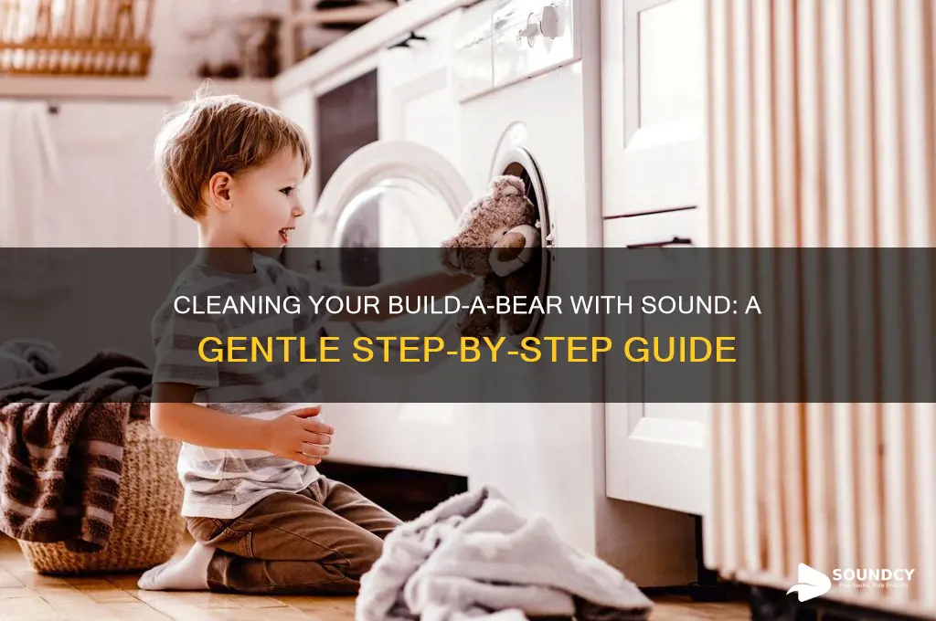 how to clean a build a bear with sound