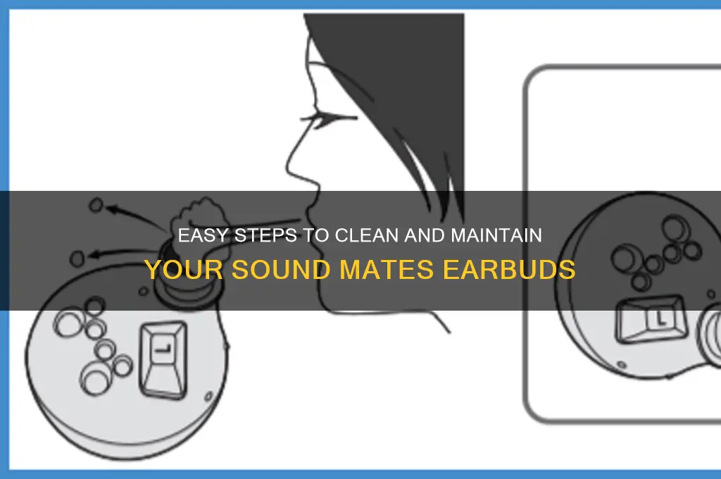 how to clean sound mates