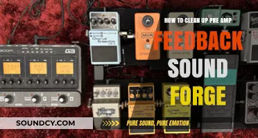 Effective Techniques to Clean Up Pre-Amp Feedback in Sound Forge