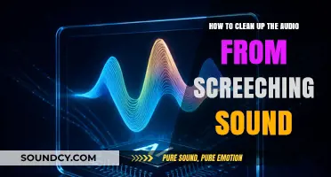 Effective Techniques to Remove Screeching Sounds from Your Audio Recordings