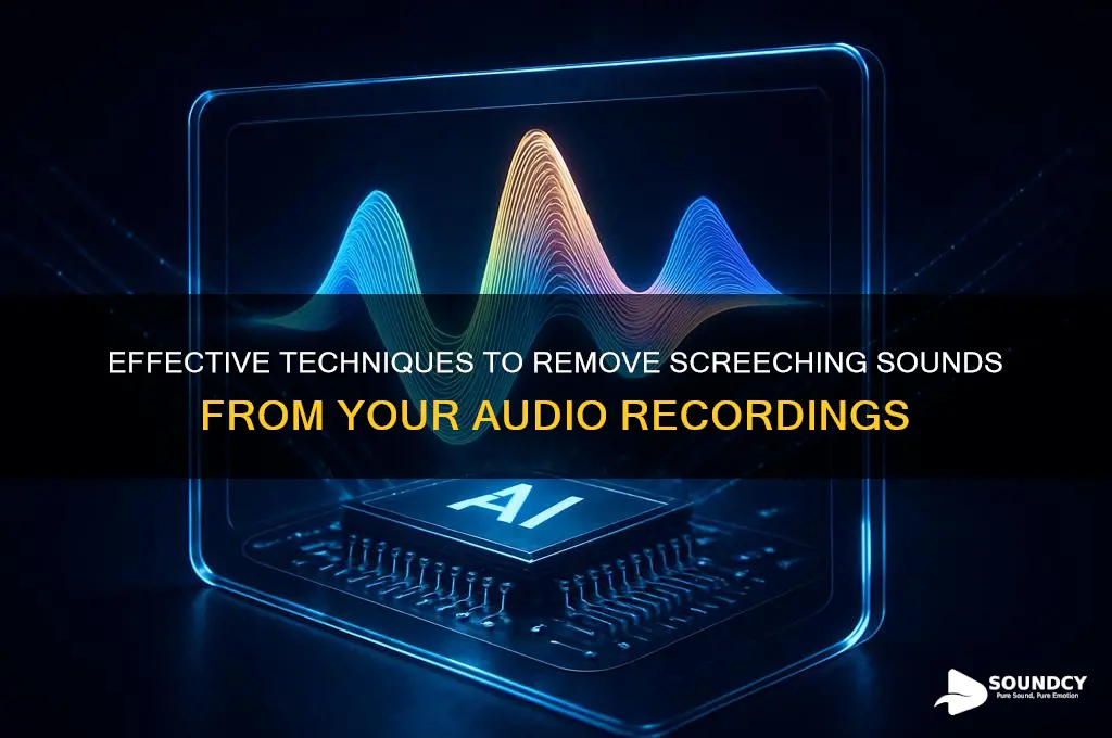 how to clean up the audio from screeching sound