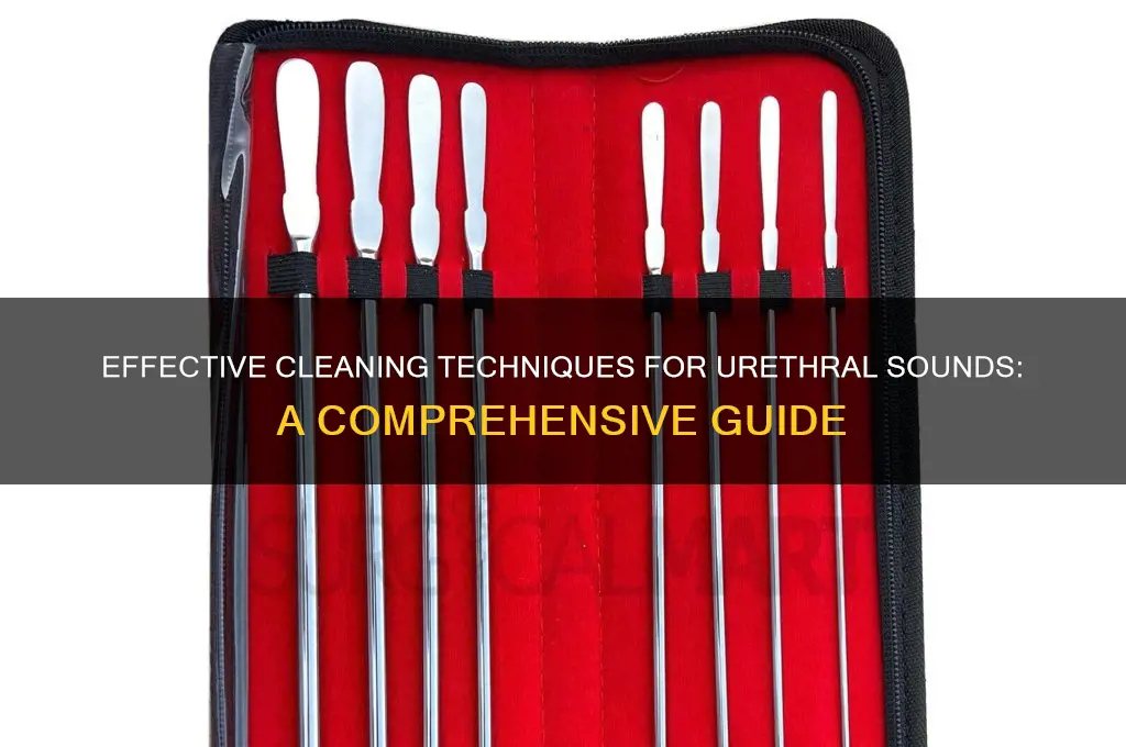 how to clean urethral sounds