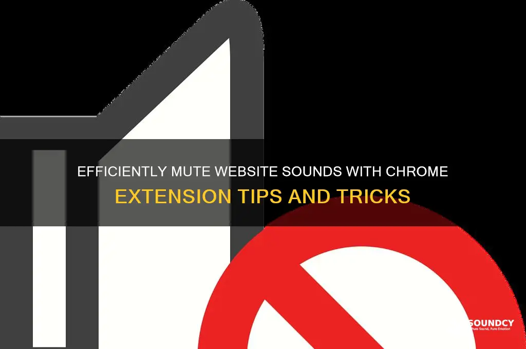 how to clear sounds from a websiste chome extension