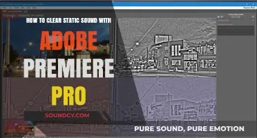 Eliminate Static Noise in Adobe Premiere Pro: A Step-by-Step Guide