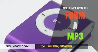 Mastering Audio Editing: How to Clip a Sound Bite from an MP3