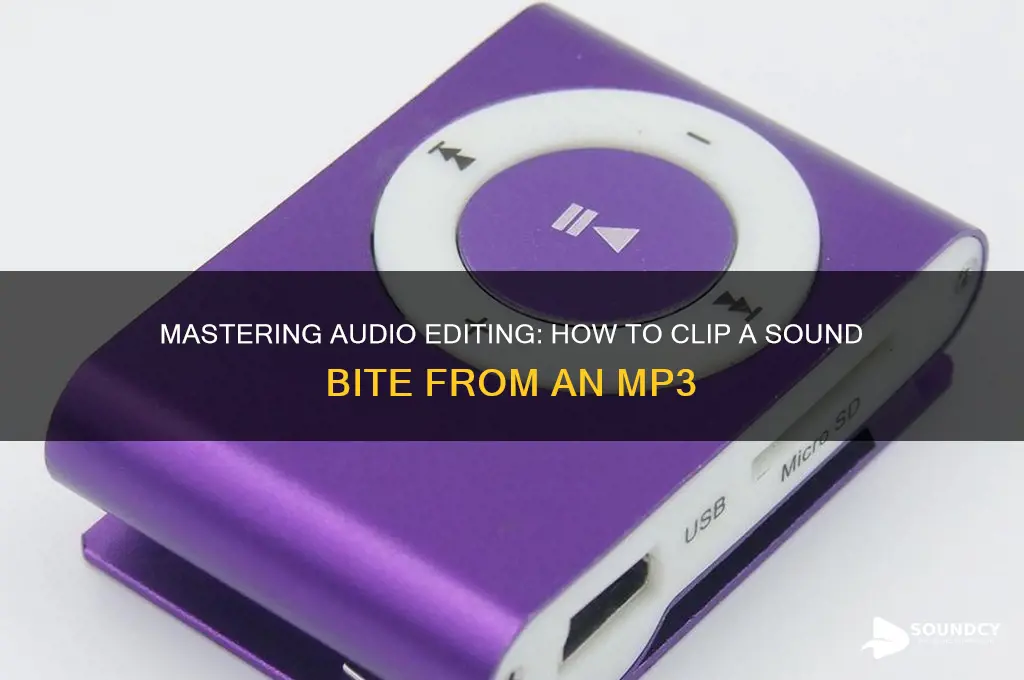 how to clip a sound bite form a mp3