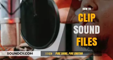 Mastering Audio Editing: A Beginner's Guide to Clipping Sound Files