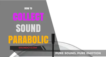Mastering Parabolic Sound Collection: Techniques and Tools for Optimal Results