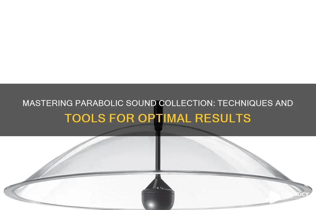 how to collect sound parabolic