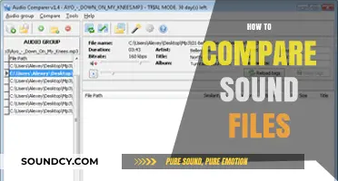 Mastering Audio Analysis: Effective Techniques to Compare Sound Files