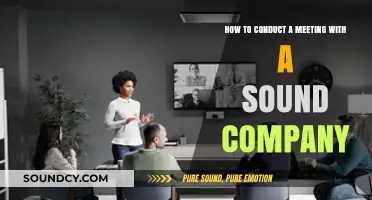 Mastering Effective Meetings: Strategies for Engaging with Sound Companies