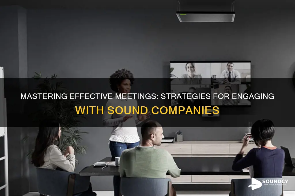 how to conduct a meeting with a sound company