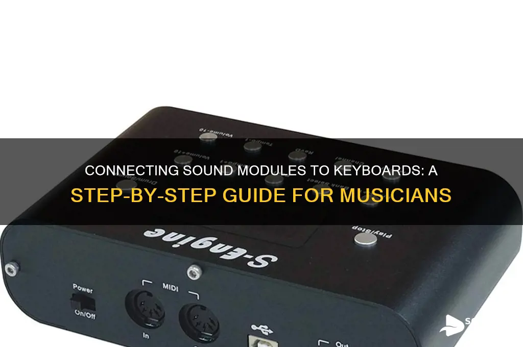 how to connect a sound module to a keyboard