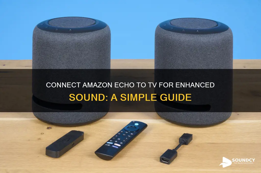 how to connect amazon echo to tv for sound
