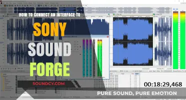 Connecting Interfaces to Sony Sound Forge: A Step-by-Step Guide