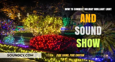 Holiday Brilliant Light and Sound Show: Easy Connection Guide