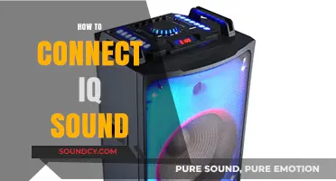 Mastering IQ Sound Connection: A Step-by-Step Guide for Seamless Setup