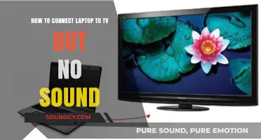 Fix Laptop to TV Connection: No Sound Solutions Guide