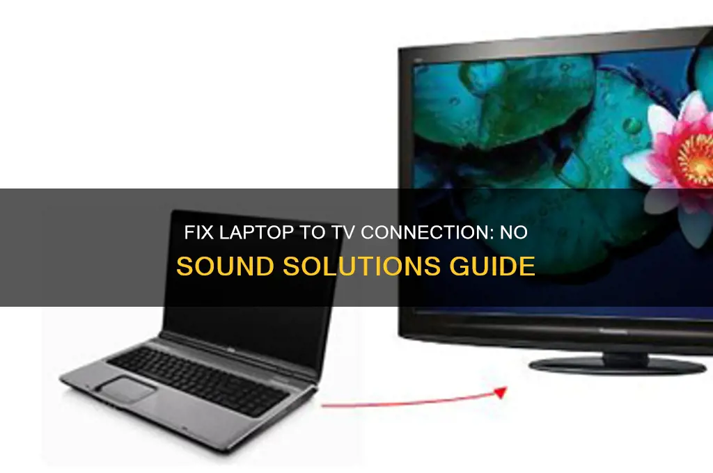 how to connect laptop to tv but no sound