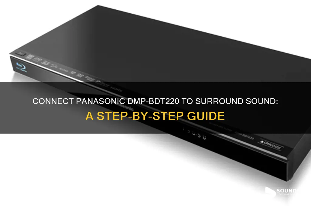 how to connect panasonic dmp-bdt220 to appointment sound