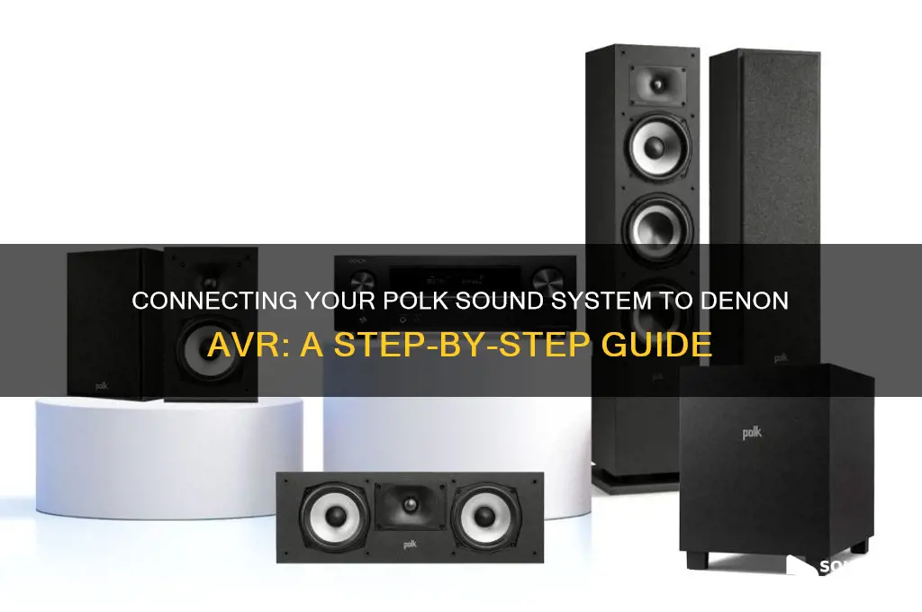how to connect polka sound sistem to denon avr