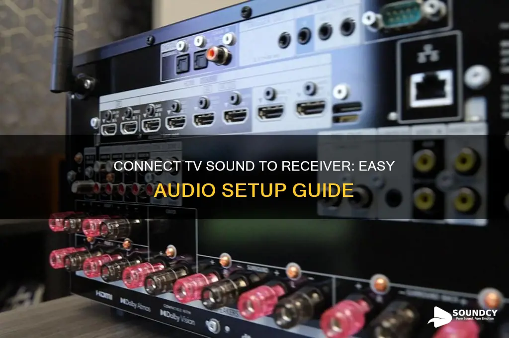 how to connect sound from tv to a reciever