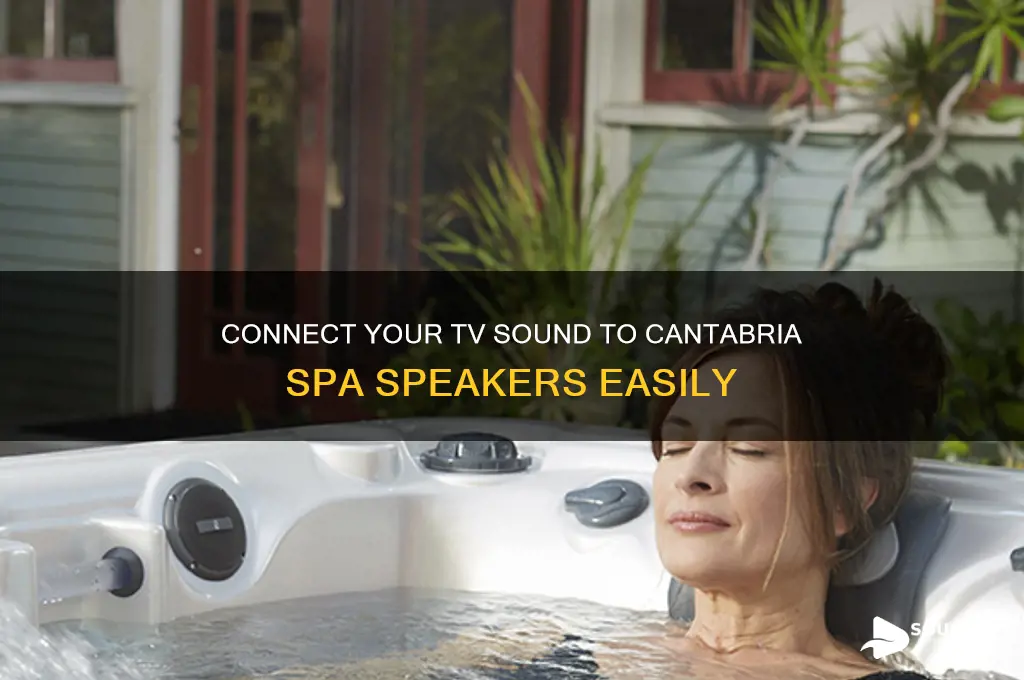 how to connect tv sound to cantabria spa speakers