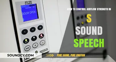 Mastering the Art of Controlling Airflow for Clear 'S' Sounds in Speech