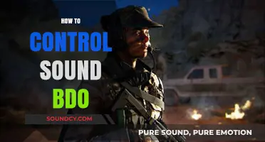 Mastering Audio Settings: A Guide to Controlling Sound in BDO