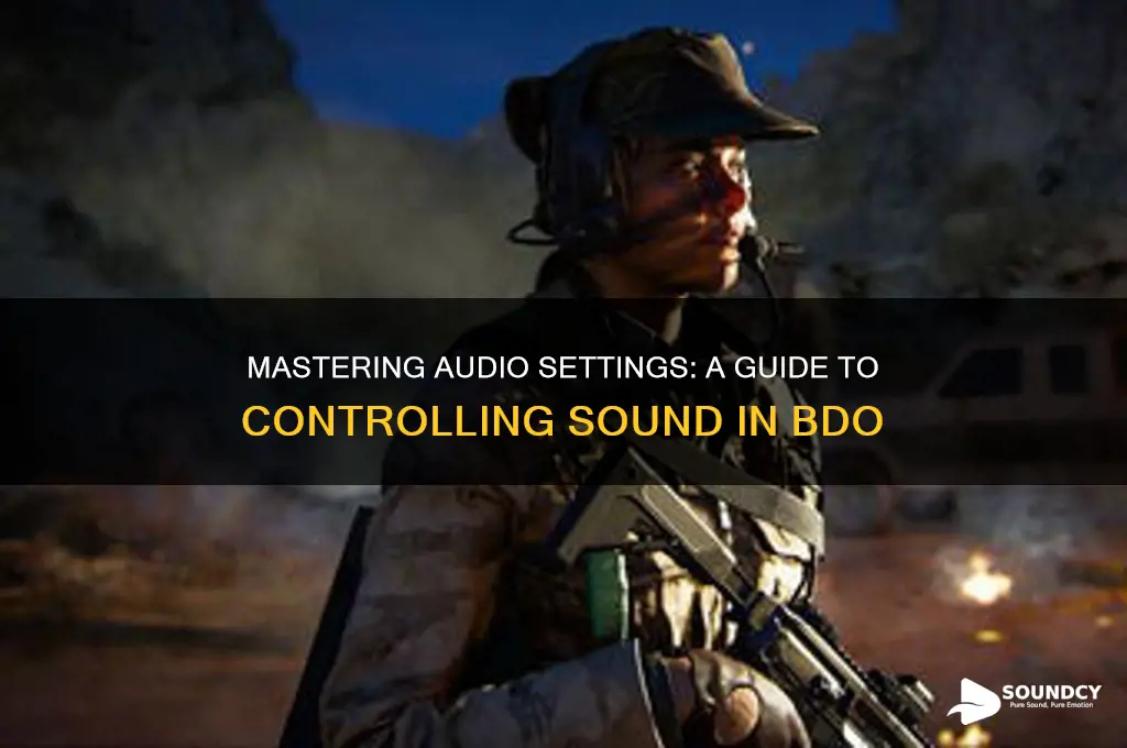 how to control sound bdo
